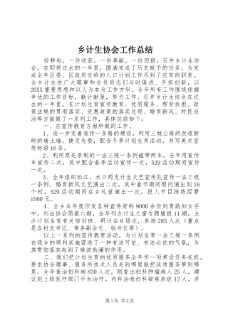2024年乡计生协会工作总结