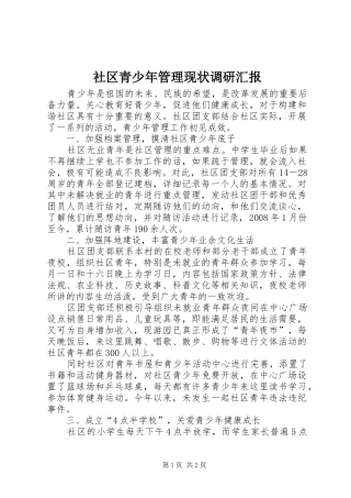 2024年社区青少年管理现状调研汇报