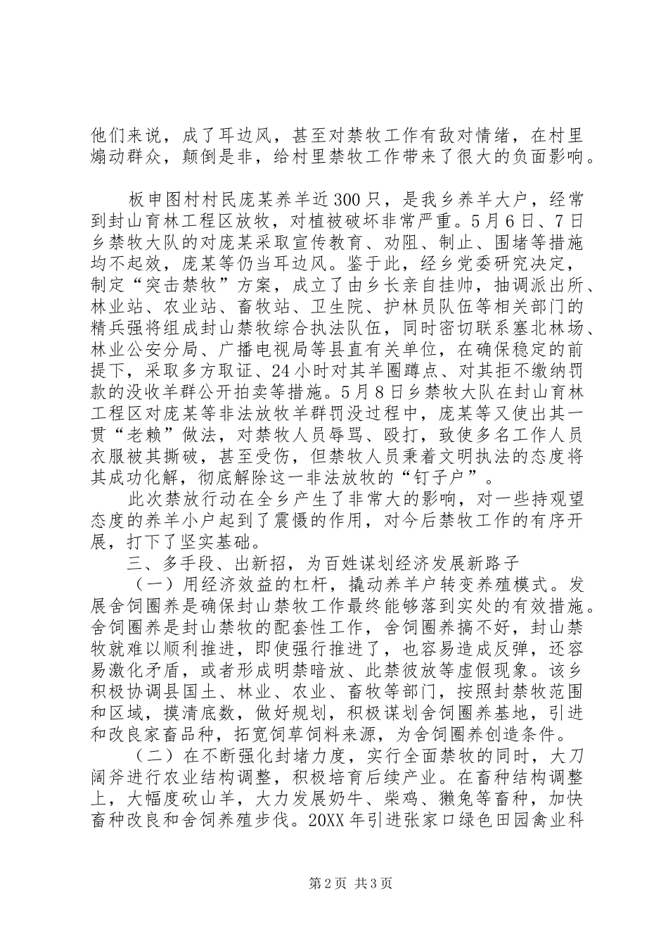 2024年乡禁牧工作总结_第2页