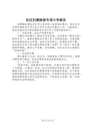 2024年社区扫黑除恶专项斗争报告