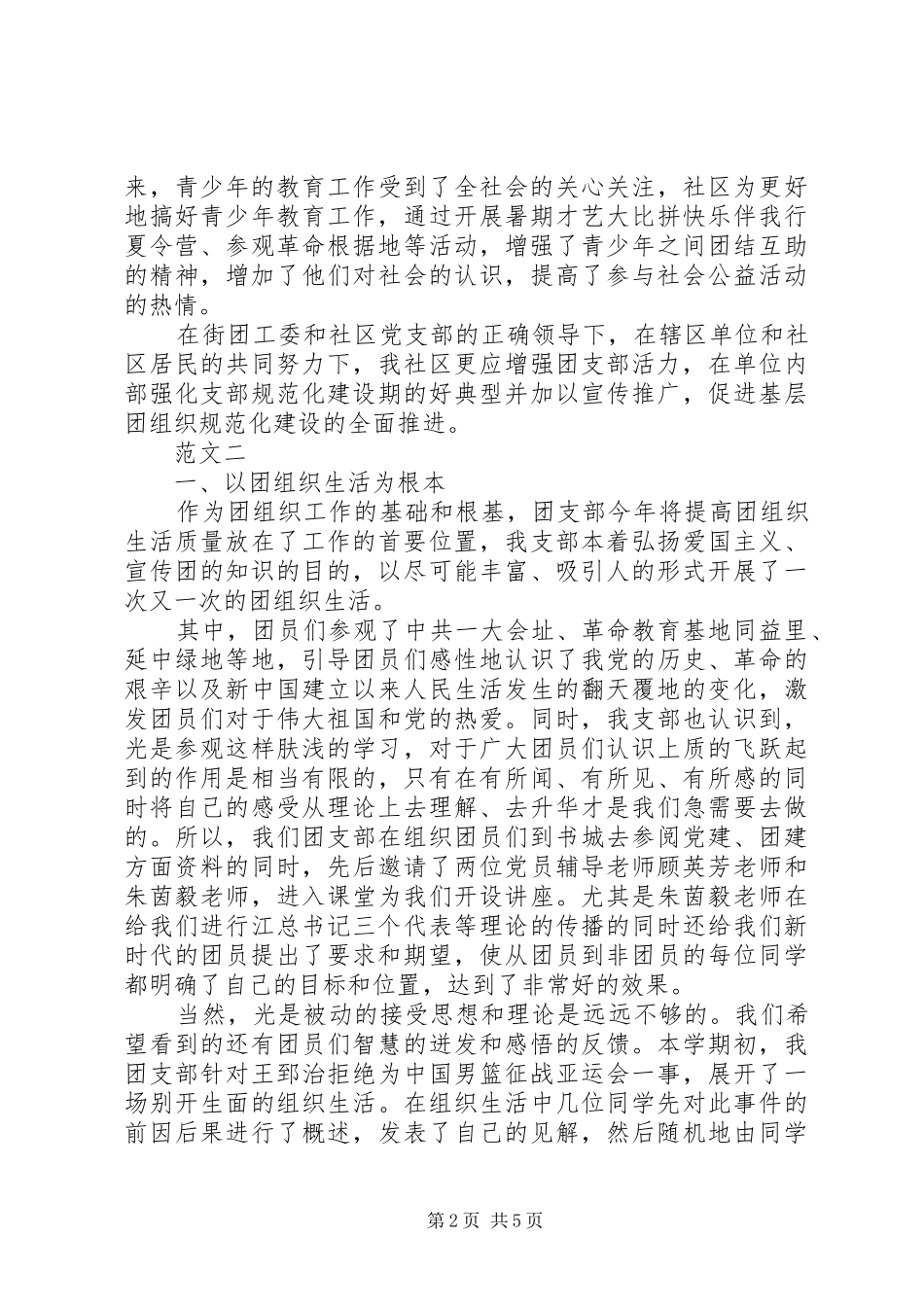 2024年社区团支部年终总结_第2页