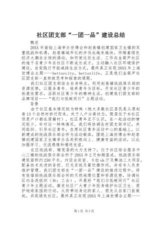 2024年社区团支部一团一品建设总结