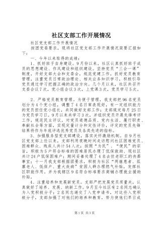 2024年社区支部工作开展情况