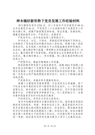 2024年神木镇好新形势下党员发展工作经验材料
