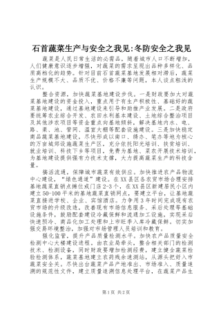 2024年石首蔬菜生产与安全之我见冬防安全之我见