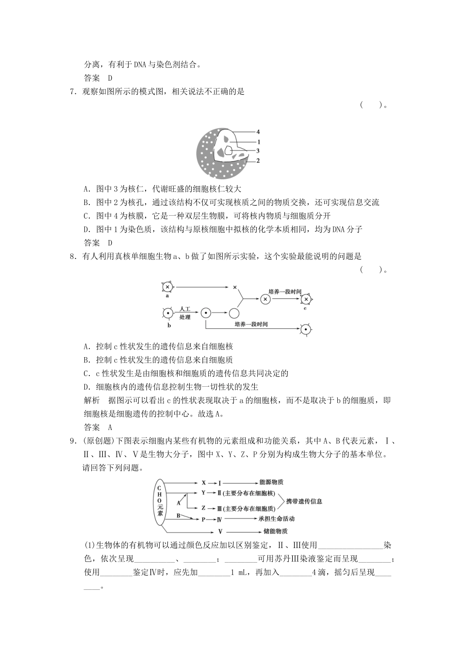 湖北省高考生物总复习 1-3-4细胞中的核酸配套训练 中图版必修1 _第3页