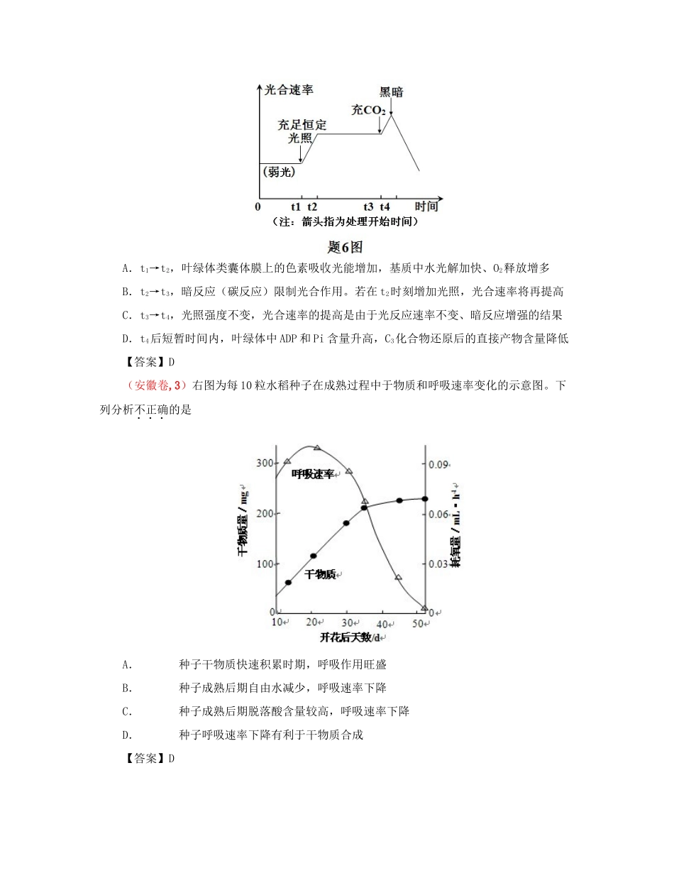 高考生物 真题分类汇编 呼吸作用和光合作用 新人教版_第2页