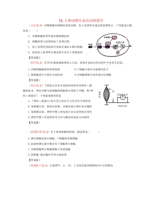 高考生物 真题分类汇编 人和动物生命活动的调节 新人教版
