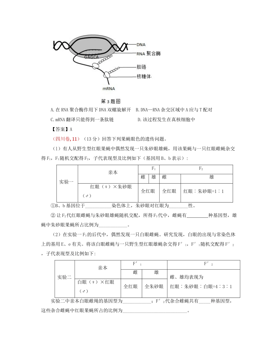 高考生物 真题分类汇编 遗传的分子基础 新人教版_第2页