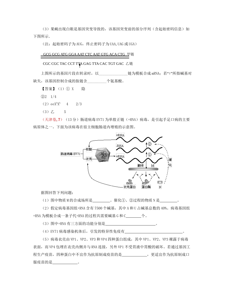 高考生物 真题分类汇编 遗传的分子基础 新人教版_第3页