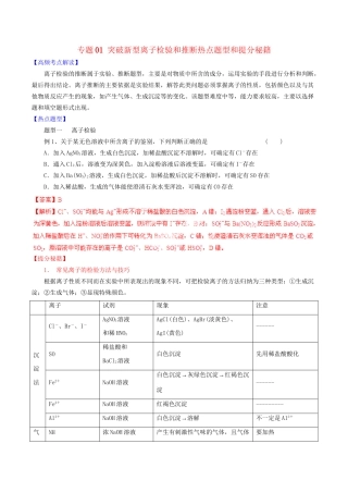 高考化学 专题01 突破新型离子检验和推断热点题型和提分秘籍（含解析）