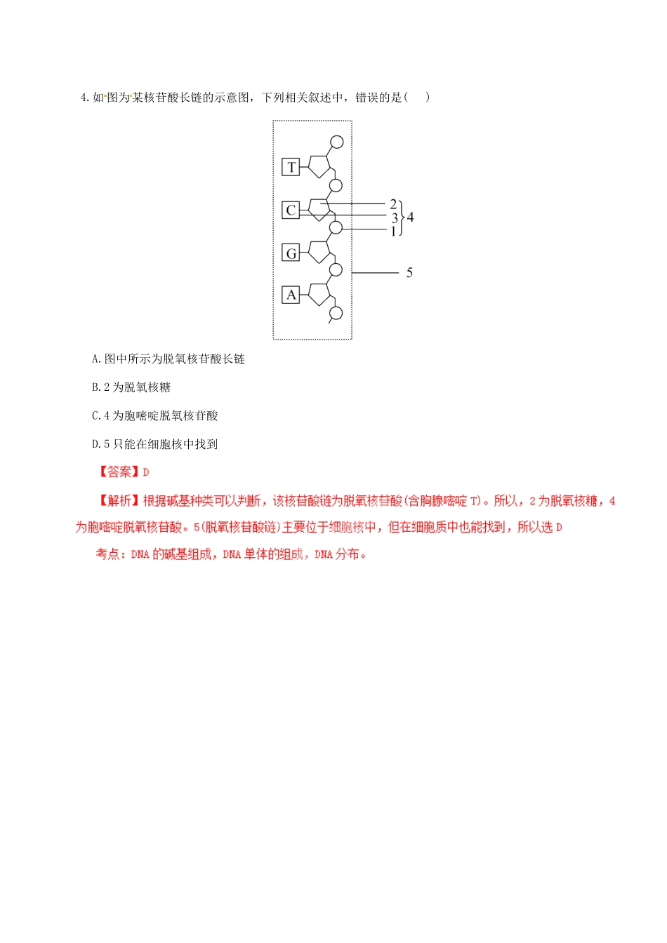 II 高考生物母题全揭秘 专题 遗传信息的携带者 核酸_第3页