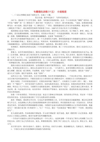 （安微专）高考语文总复习 专题（十五）小说阅读强化训练