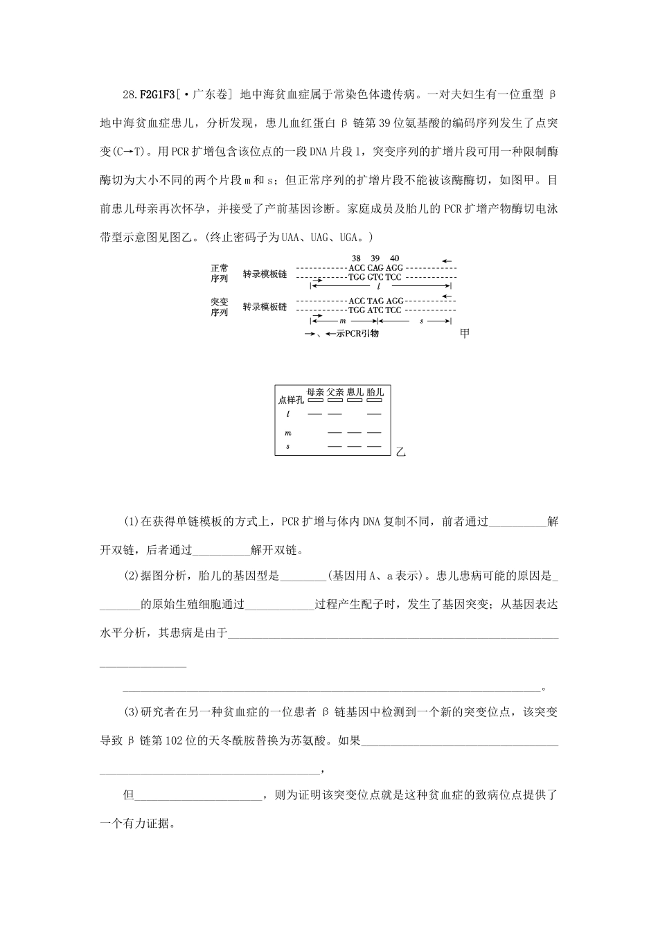 高考生物 （真题+模拟新题分类汇编） 遗传的分子（物质）基础（含解析）_第2页