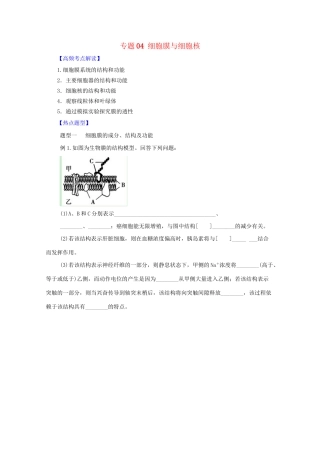 高考生物 热点题型和提分秘籍 专题04 细胞膜与细胞核（解析版）