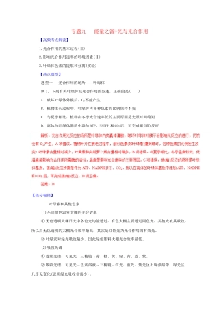 高考生物 热点题型和提分秘籍 专题09 能量之源-光与光合作用（解析版）