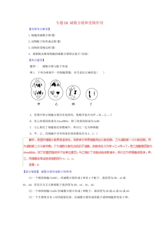 高考生物 热点题型和提分秘籍 专题14 减数分裂和受精作用（解析版）