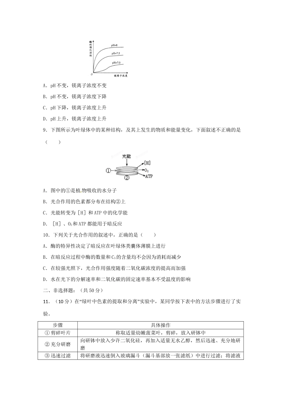 高三生物一轮复习 光合作用（1）单元测试_第3页