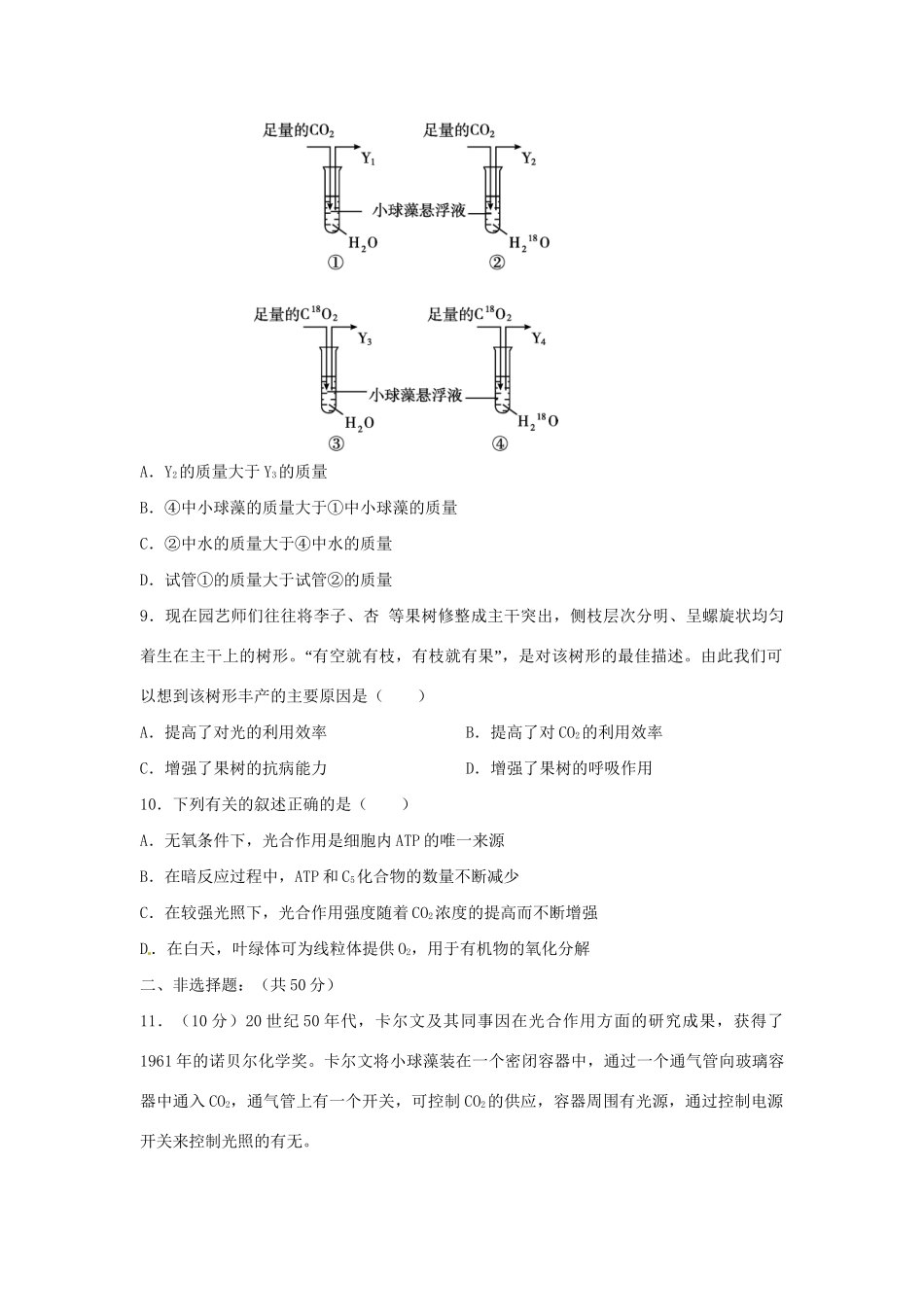 高三生物一轮复习 光合作用（2）单元测试_第3页
