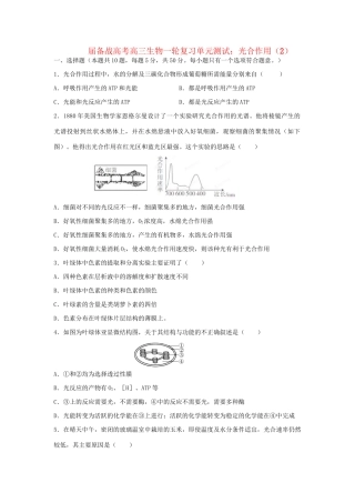 高三生物一轮复习 光合作用（2）单元测试
