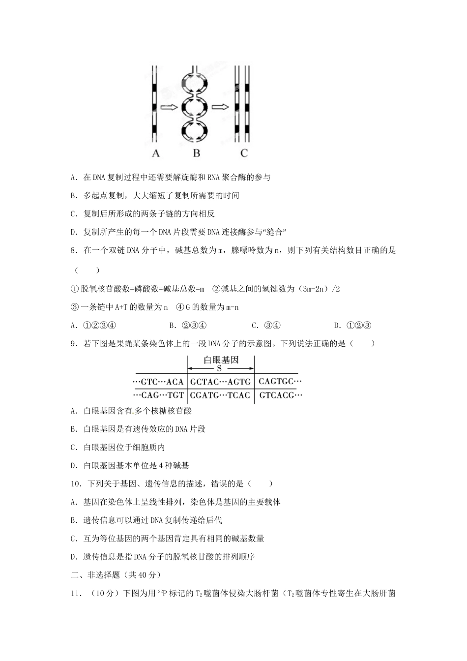 高三生物一轮复习 基因的本质单元测试_第3页
