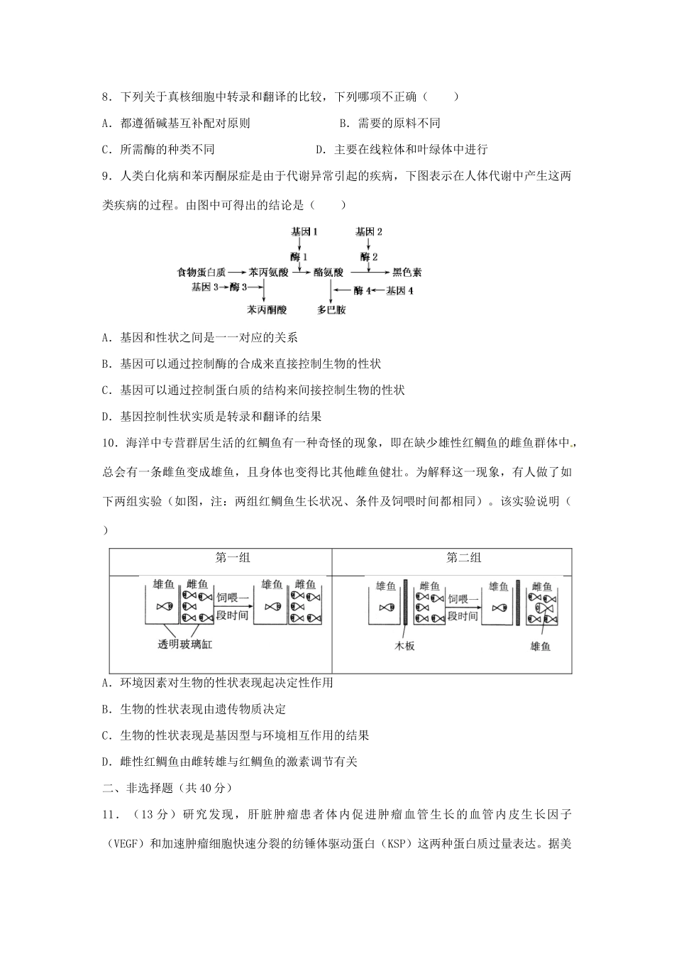 高三生物一轮复习 基因的表达单元测试_第3页