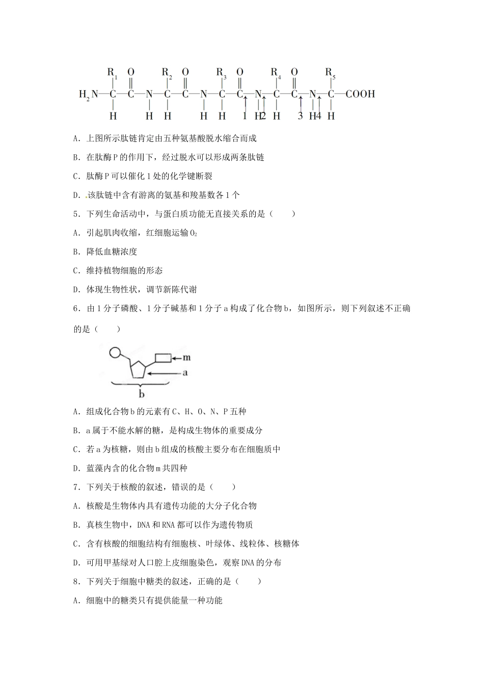 高三生物一轮复习 细胞的物质基础单元测试_第2页