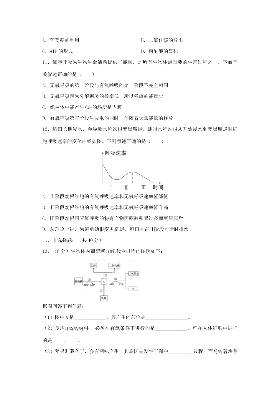 高三生物一轮复习 细胞呼吸（2）单元测试_第3页