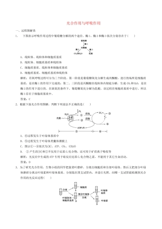 广东省高考生物 相关题型专训专题四 光合作用与呼吸作用