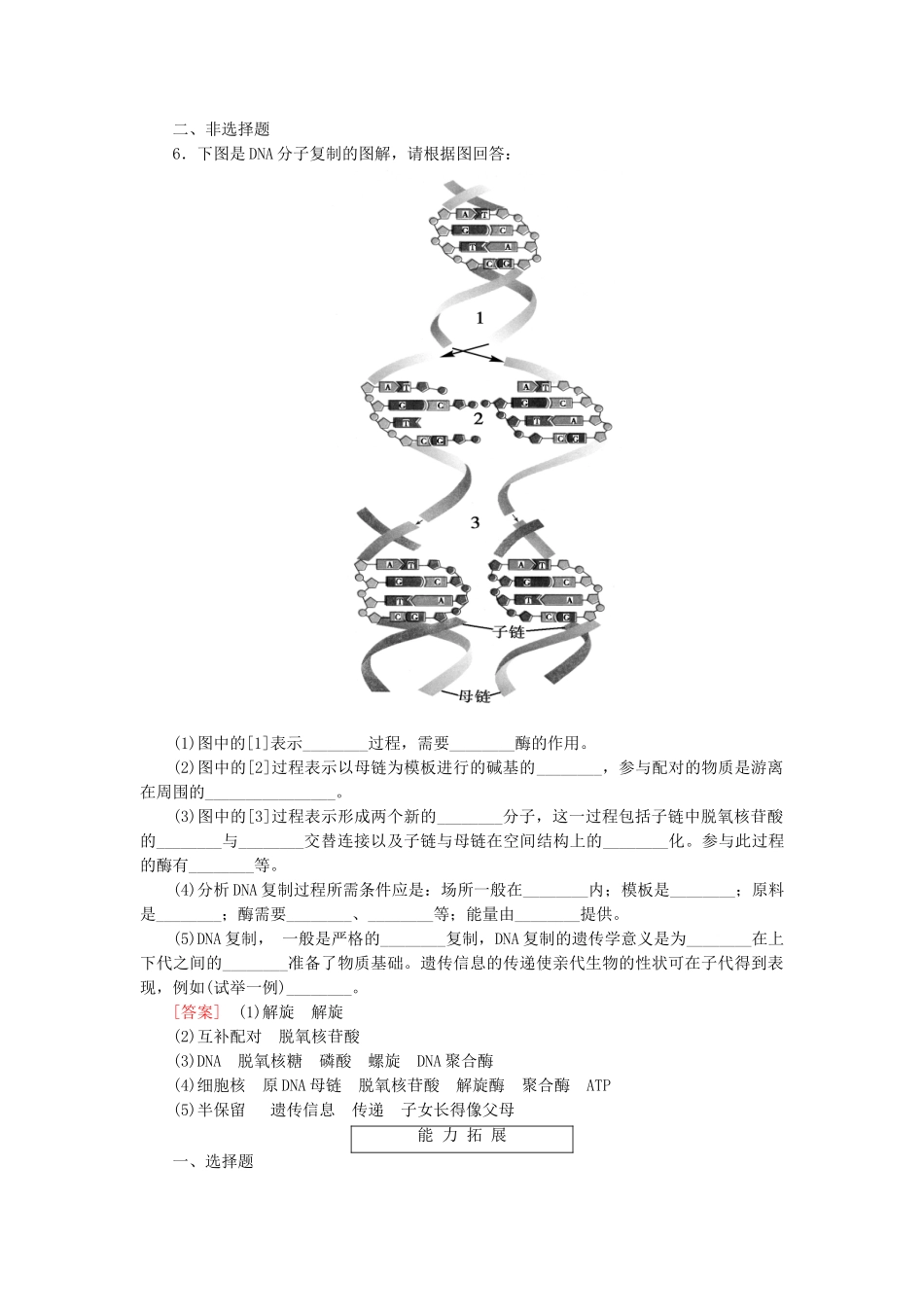 高中生物 3-3 DNA的复制基础巩固 新人教版必修2_第2页