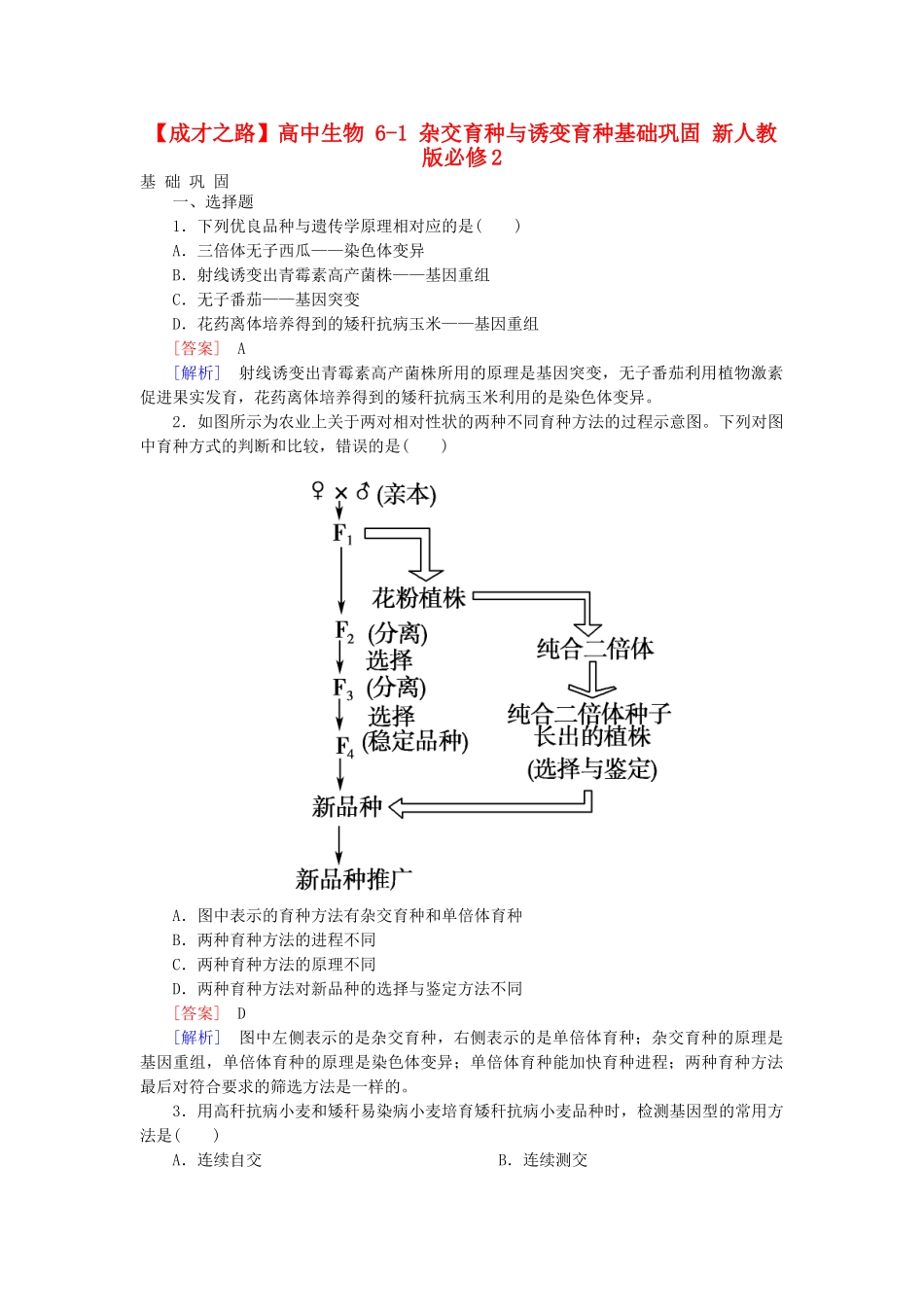 高中生物 6-1 杂交育种与诱变育种基础巩固 新人教版必修2_第1页