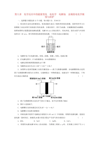 高考化学大一轮总复习 第八章《化学反应中的能量变化--电解池 金属的电化学腐蚀与防护》同步训练