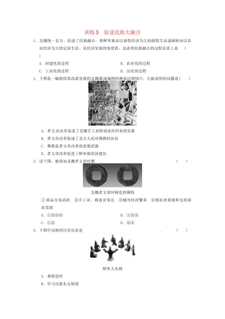 高中历史 第三单元 训练3促进民族大融合 新人教选修1 