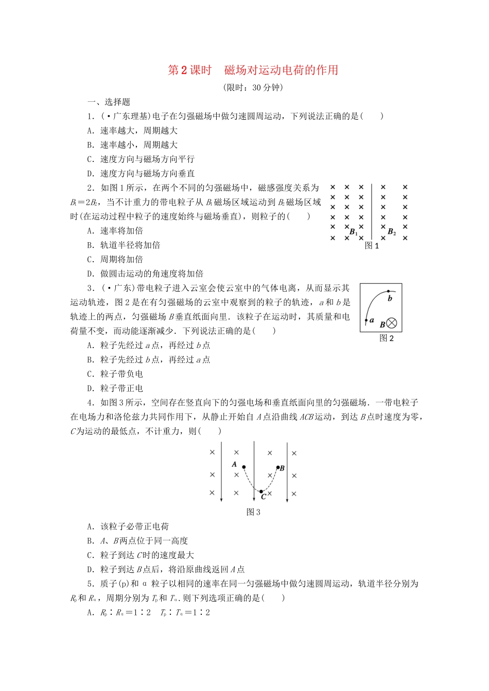 高中物理大一轮复习 第十一章 第2课时 磁场对运动电荷的作用讲义 大纲人教_第1页