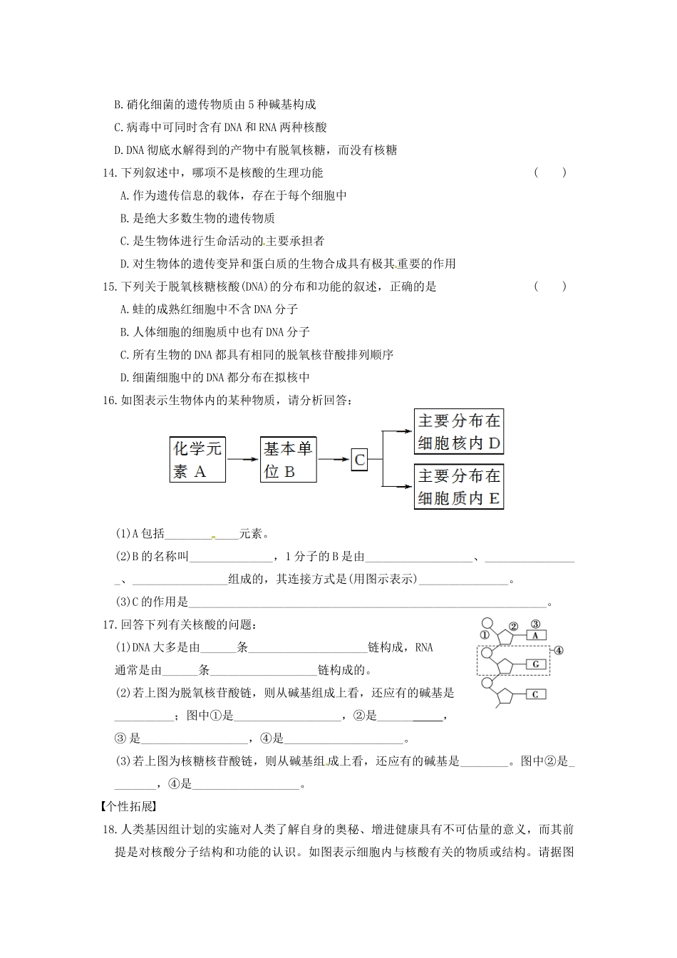 学高中生物 第二章 细胞的化学组成 第6课时 核酸的结构和功能同步课时检测 苏教版必修1_第3页