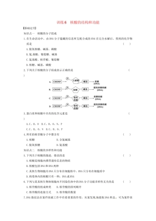 学高中生物 第二章 细胞的化学组成 第6课时 核酸的结构和功能同步课时检测 苏教版必修1