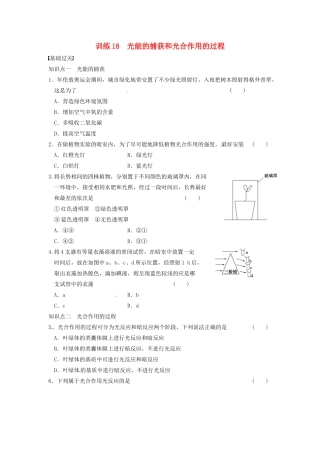 学高中生物 第四章 光合作用和细胞呼吸 第18课时 光能的捕获同步课时检测 苏教版必修1