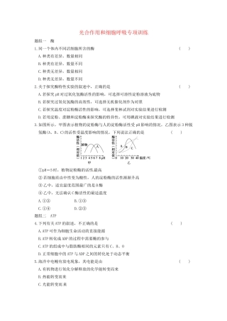 学高中生物 第四章 光合作用和细胞呼吸 专项检测同步课时检测 苏教版必修1