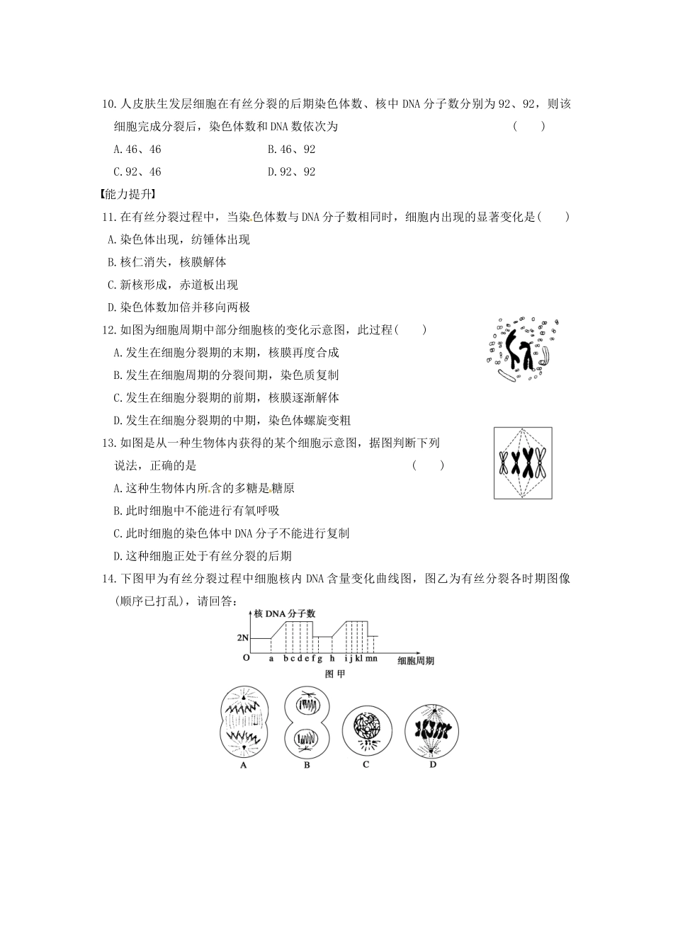 学高中生物 第五章 第22课时 有丝分裂同步课时检测 苏教版必修1_第3页
