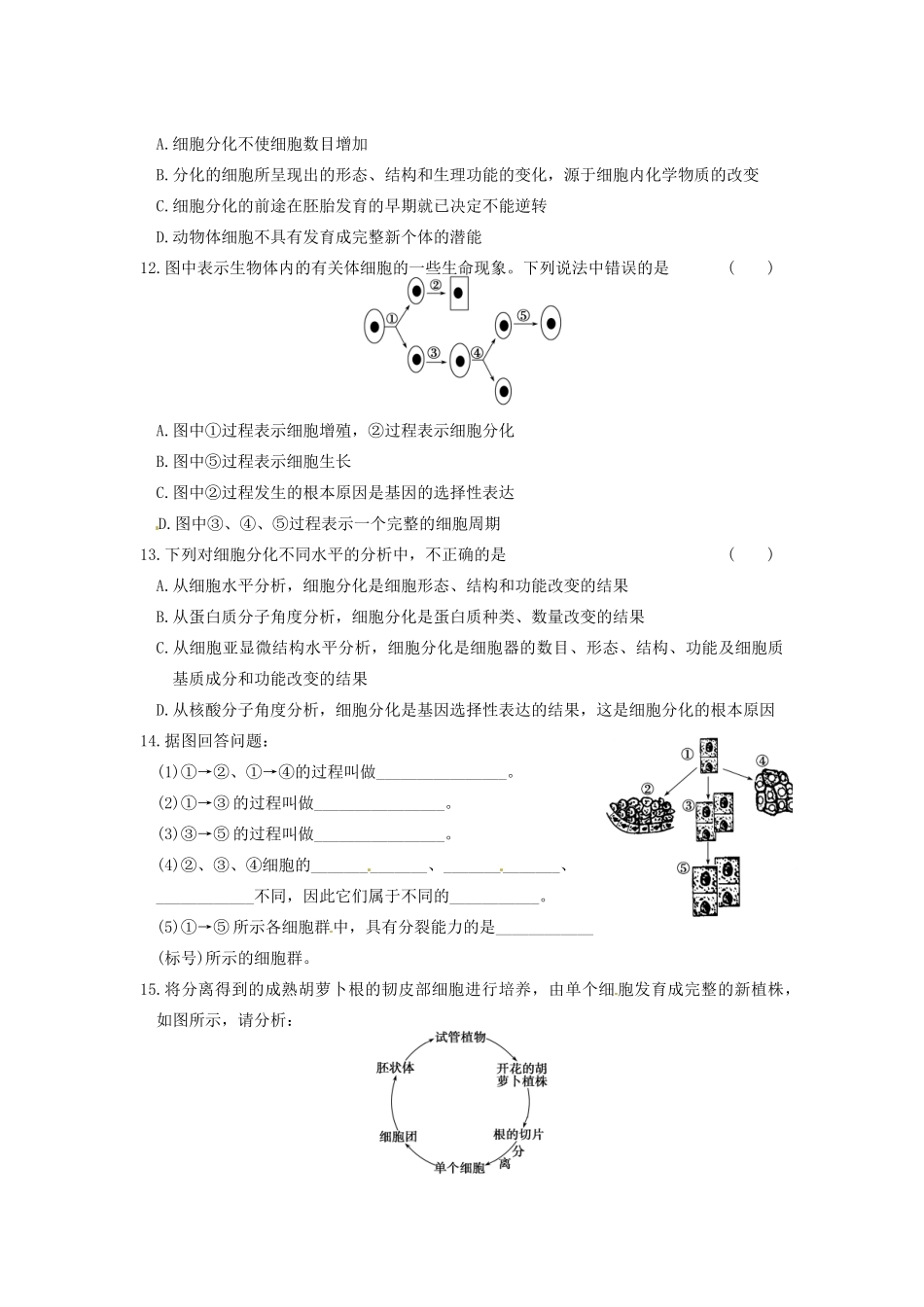 学高中生物 第五章 细胞增殖、分化、衰老和凋亡 第24课时 分化和全能性同步课时检测 苏教版必修1_第3页