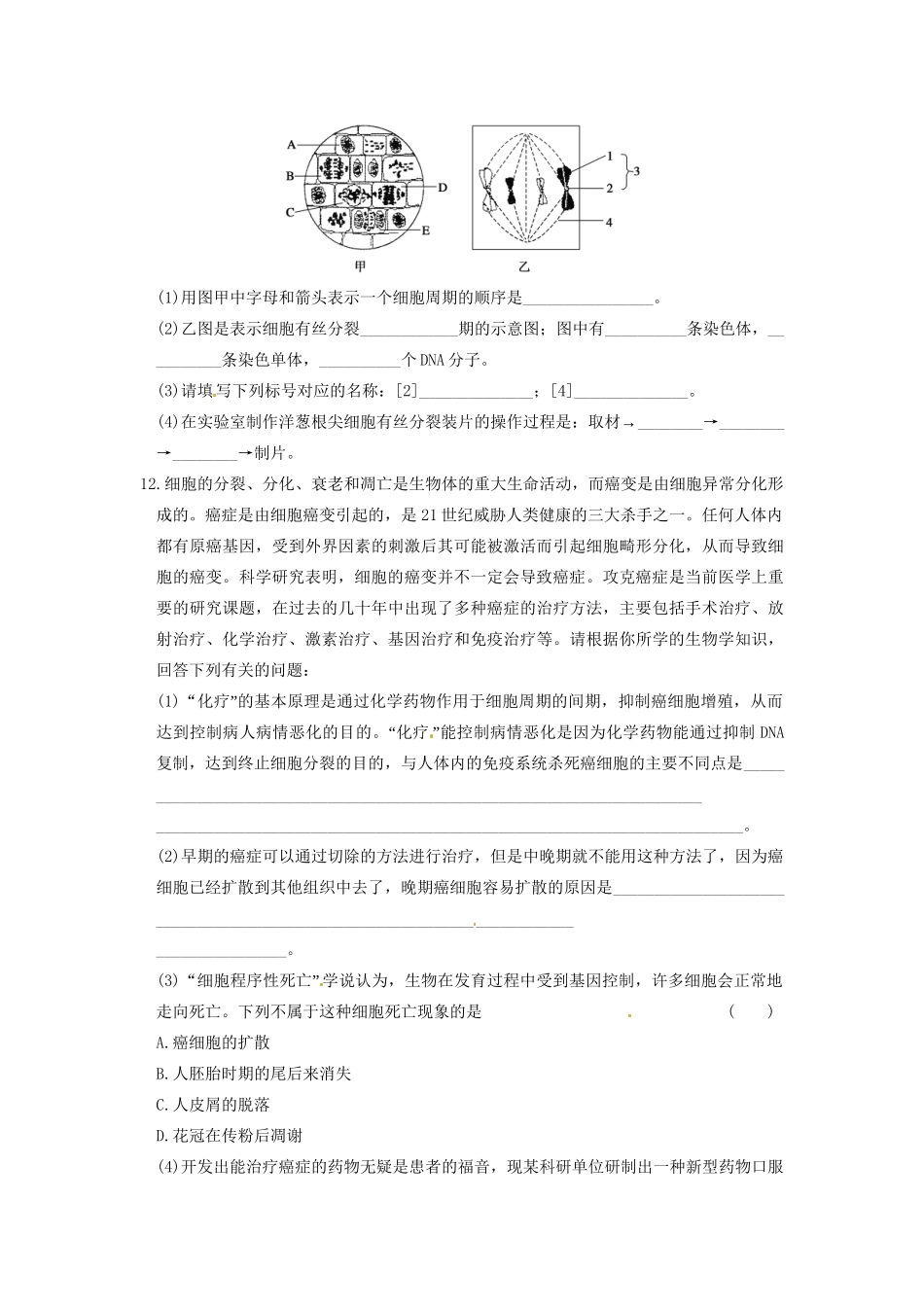 学高中生物 第五章 细胞增殖、分化、衰老和凋亡 专项检测同步课时检测 苏教版必修1_第3页