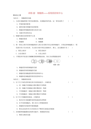 学高中生物 细胞核 系统的控制中心专项训练