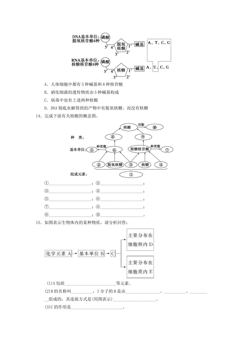 学高中生物 遗传信息的携带者 核酸专项训练_第3页