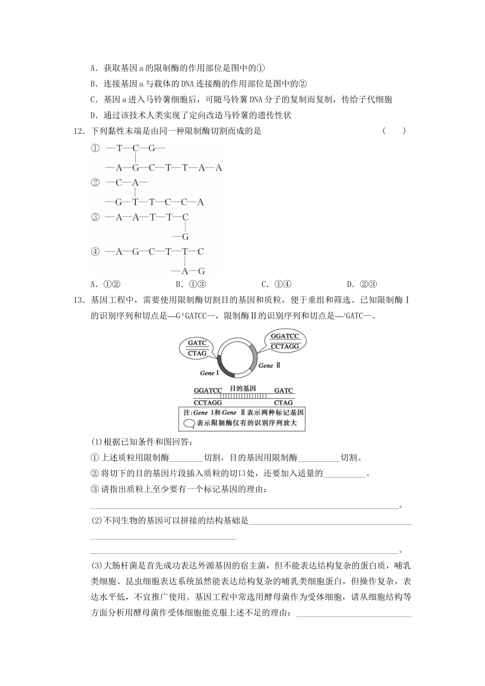 学高中生物 专题1 基因工程 DNA重组技术的基本工具 新人教版选修3_第3页