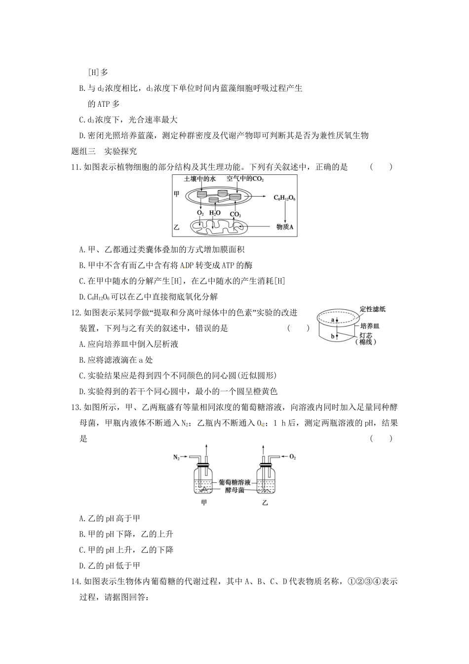 学高中生物 专题巩固（二）同步课时检测 苏教版必修1_第3页