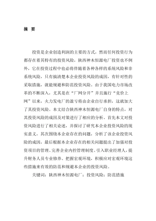 电厂投资风险的成因及对策探究分析研究  财务管理专业