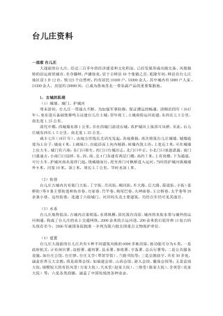 台儿庄文化分析研究  工商管理专业