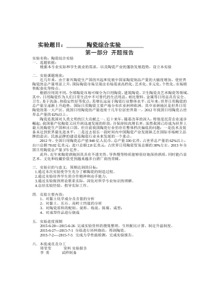 陶瓷实验报告