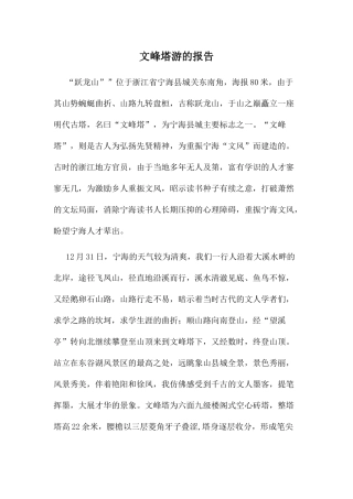 文峰塔游的报告