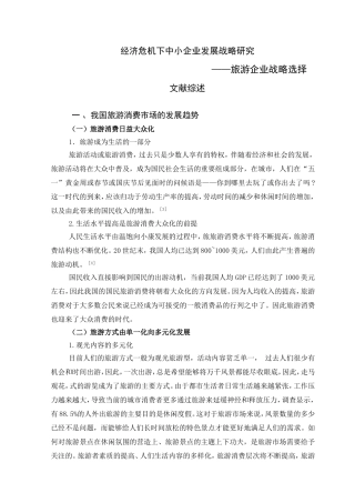 文献综述 经济危机下中小企业发展战略研究—旅游企业战略选择